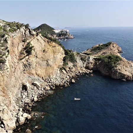 Le Balcon De La Mer-Piscine-Wifi-Pkg Begur Eksteriør billede