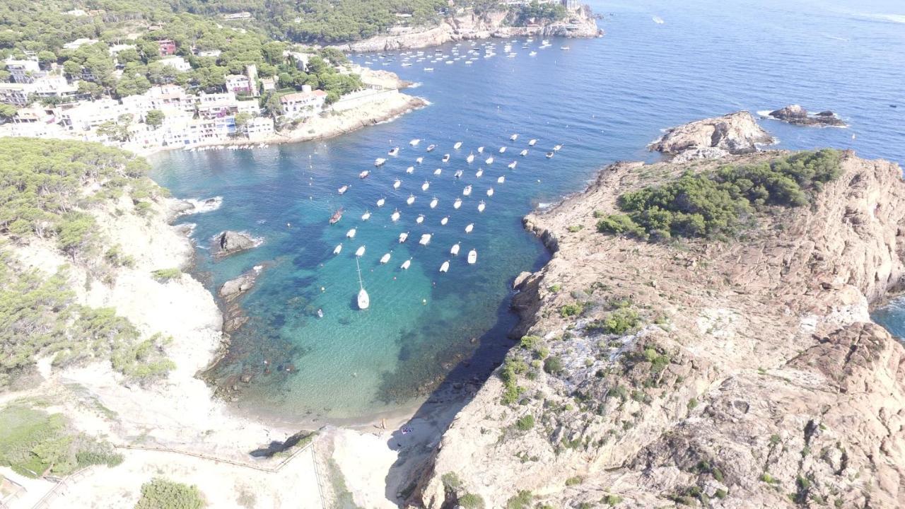 Le Balcon De La Mer-Piscine-Wifi-Pkg Begur Eksteriør billede