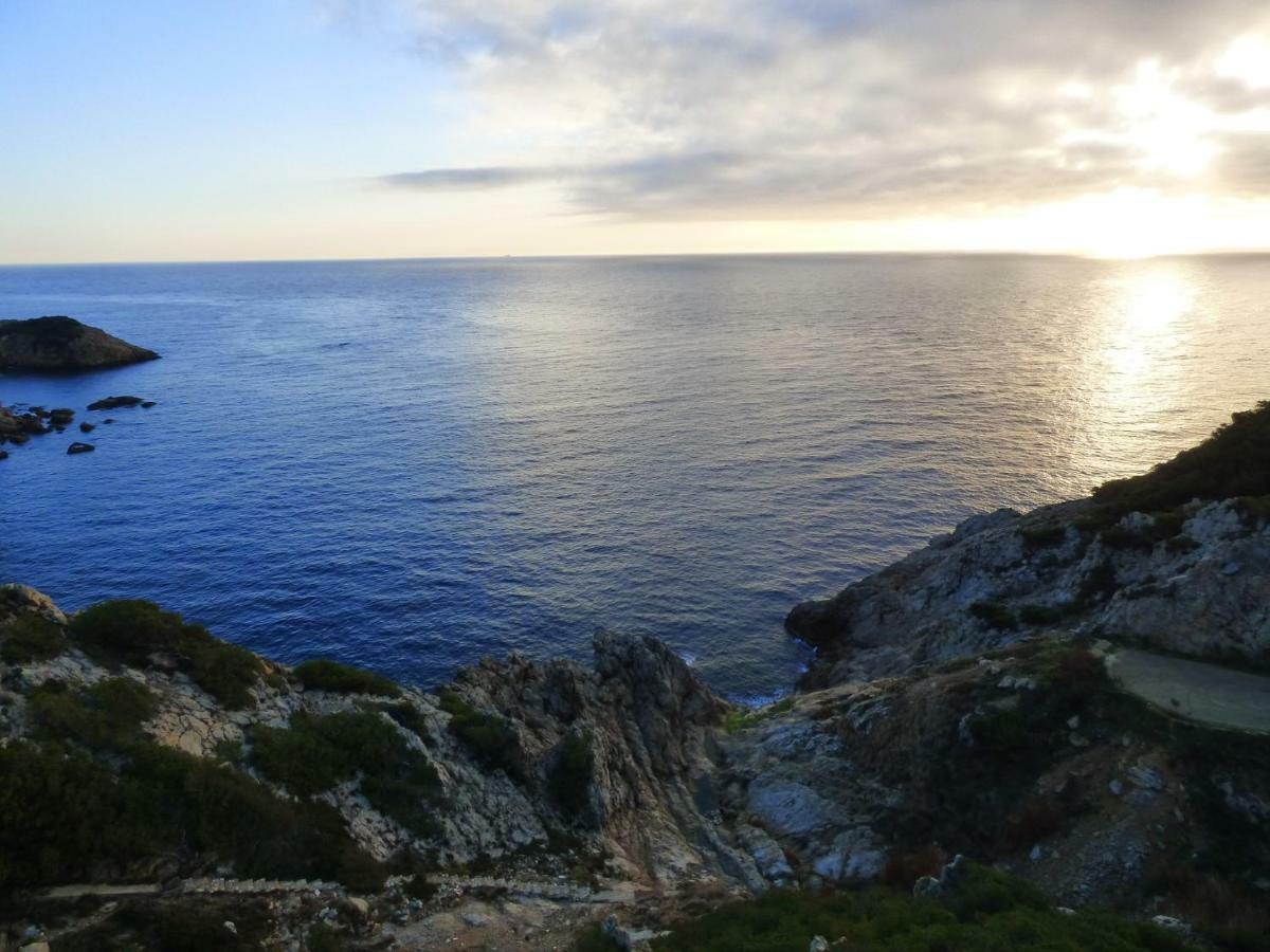 Le Balcon De La Mer-Piscine-Wifi-Pkg Begur Eksteriør billede