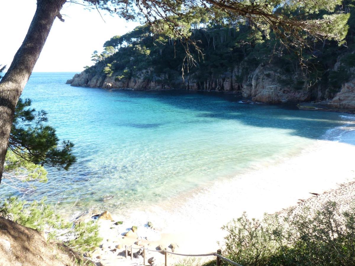 Le Balcon De La Mer-Piscine-Wifi-Pkg Begur Eksteriør billede