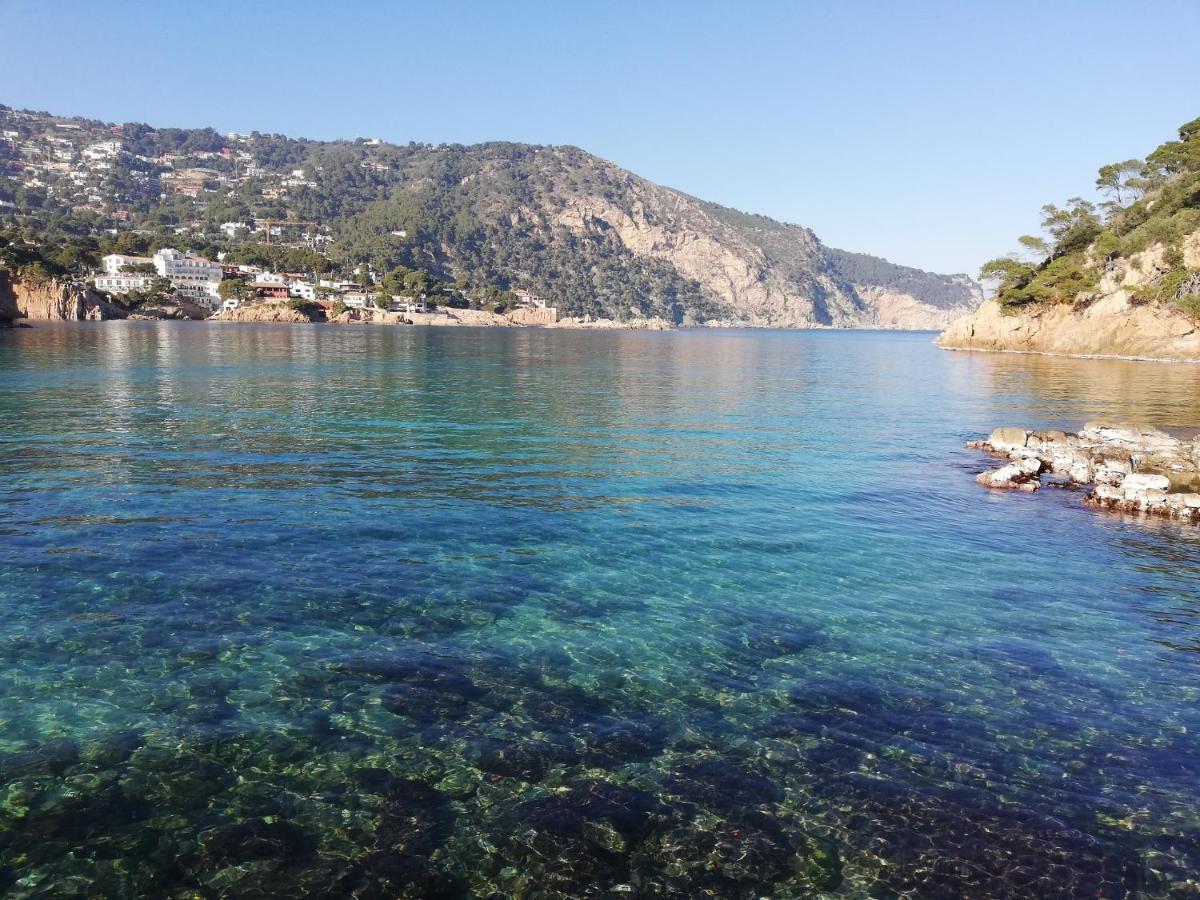 Le Balcon De La Mer-Piscine-Wifi-Pkg Begur Eksteriør billede