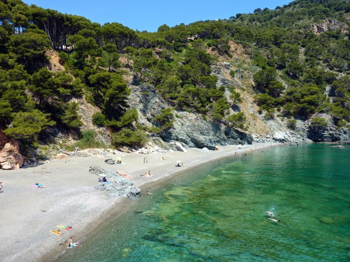 Le Balcon De La Mer-Piscine-Wifi-Pkg Begur Eksteriør billede